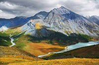 ALTAISCHES MUMIJO / SHILAJIT Reines Pulver (Asphaltum Punjabinum) Sibirien (Altai)