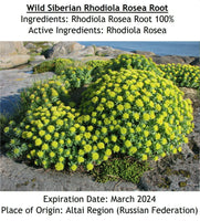 WILDE SIBIRISCHE ROSENWURZ (Rhodiola Rosea)