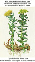 WILDE SIBIRISCHE ROSENWURZ (Rhodiola Rosea)