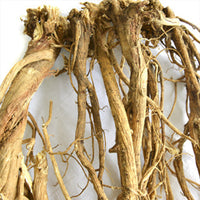 ASTRAGALUS- / TRAGANT- / BOCKSDORN-WURZEL (Astragalus membranaceus) Pulver