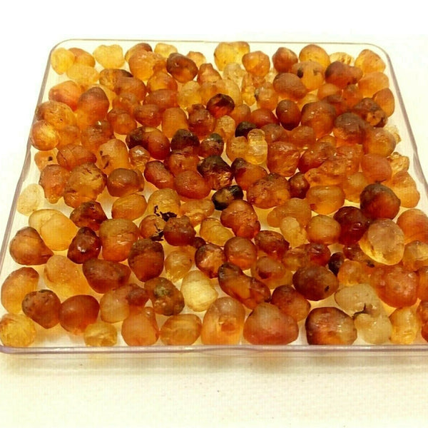 PEACH GUM / TAO JIAO / (WILD) PFIRSICH HARZ (Prunus Persica) China