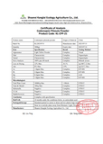 CODONOPSIS / TIGERGLOCKENWINDENWURZEL / DANG SHEN (Codonopsis Pilosula) (Pulver) China
