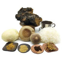 REISHI PILZ EXTRAKT (GANDERMA LUCIDUM) 10-30% Polysaccharide + Polyphenole, Triterpene
