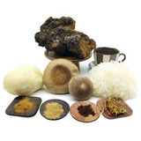 REISHI PILZ EXTRAKT (GANDERMA LUCIDUM) 10-30% Polysaccharide + Polyphenole, Triterpene