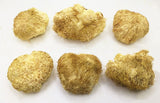 LÖWENMÄHNE / IGEL-STACHELBART / YAMABUSHITAKE (Hericium erinaceus) Pilze & Pulver